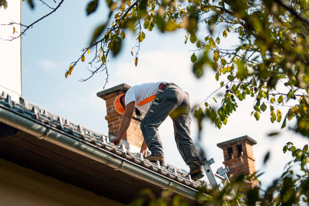 Gutter Installation and Roofing in Rio Bravo, TX