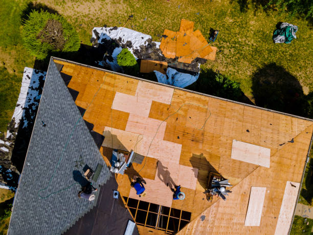 Quick and Trustworthy Emergency Roof Repair Services in Rio Bravo, TX