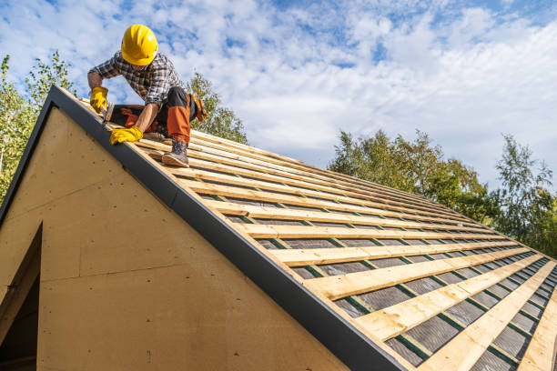 Best Roof Leak Repair  in Rio Bravo, TX