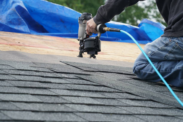 Best Residential Roofing Contractor  in Rio Bravo, TX