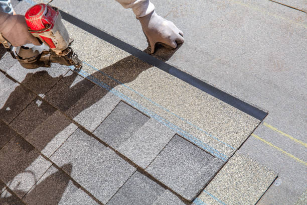 Best Metal Roofing Contractor  in Rio Bravo, TX